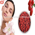 Ningxia Goji Berry Miracle Frucht Ningxia Beeren Goji Getrocknet